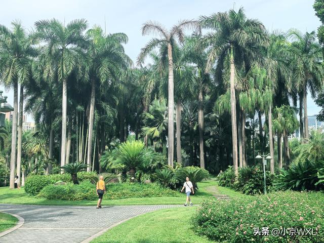 土豪村旁边的公园也豪！