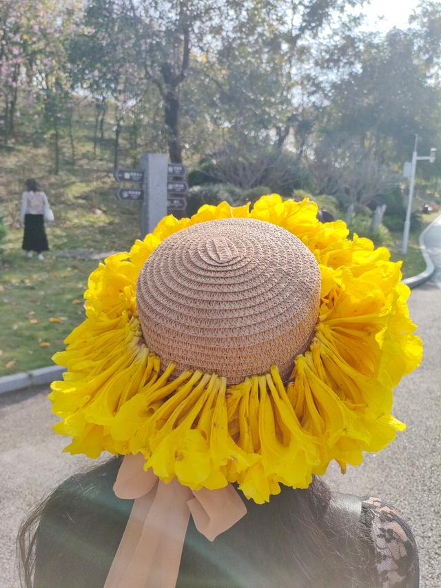 南宁江南公园黄花风铃木开啦！