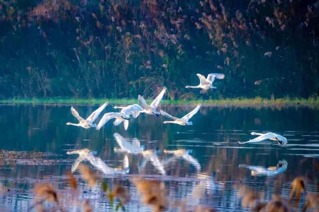 开学第一课！在金坛还能这样学？
