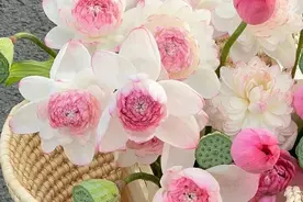 狠狠记住这些日常生活中容易读错的字： 1、桎梏图片