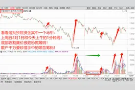 今天A股的暴跌可载入史册！坚决不能交出底部极致恐慌筹码！图片