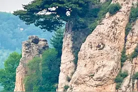 石家庄周边夏日清凉自驾徒步休闲两日游，高山草甸图片