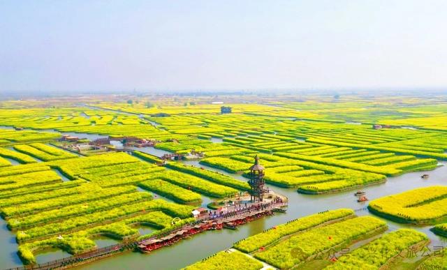 2026年泰州•兴化千垛菜花旅游推广活动走进西安