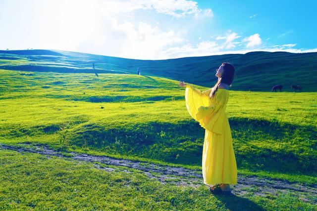 走进临夏：在耳子屲梁与竹子沟的风光里，享一段悠然时光