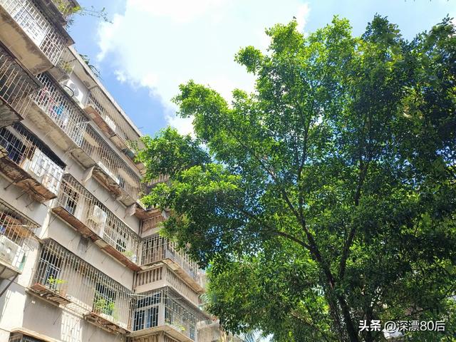 台风来临前你会储备物资吗