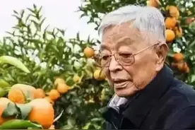 “商界传奇”褚时健，让人醍醐灌顶的一句话：“年轻人...图片