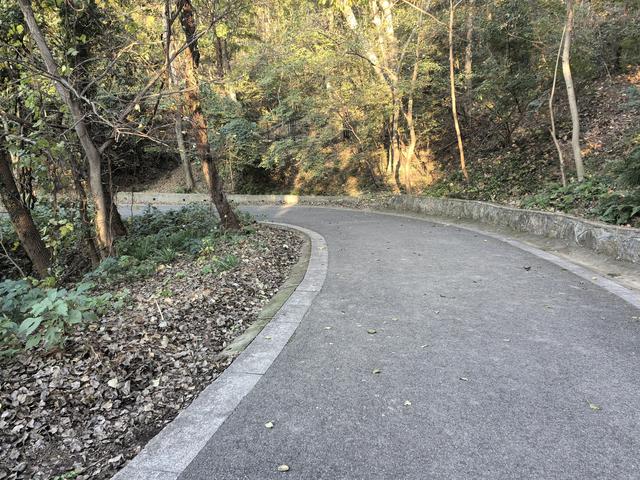 南京紫金山郊野徒步