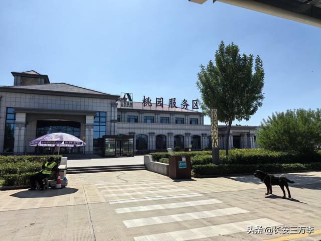 北上大草原第14站：南回山东微山岛