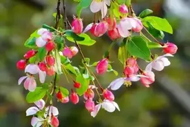 出生在底层的原生家庭，认知和格局都偏低，然后又一无...图片