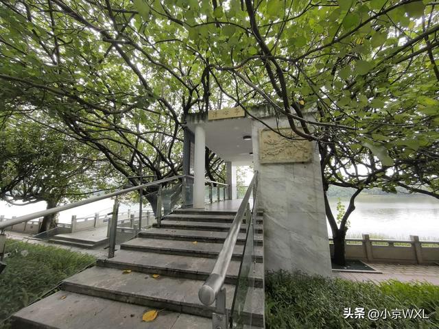 官洲生物岛鹅公村的早茶