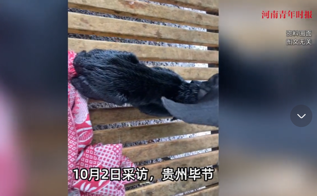 生计与情感冲突时你如何选