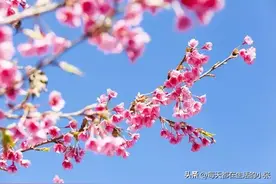 令人成长的30句话，渡人也渡己图片