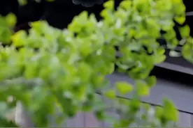 心灵觉醒（起心动念皆是因）我们在这里聊困境，是因为...图片
