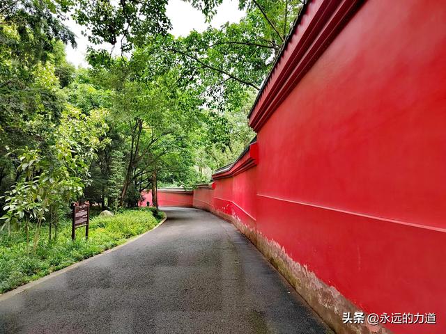 报国寺,从尘世走向净土的起点