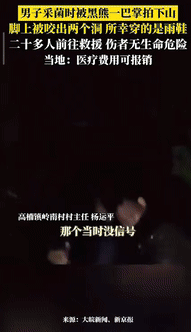 野外遇到猛兽你会如何逃生