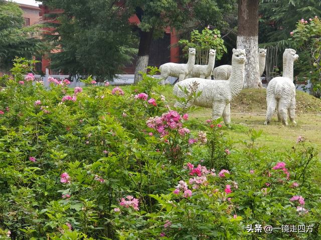 在“天仙配”传说的故事发生地孝感，建有一座“凤凰天仙城”
