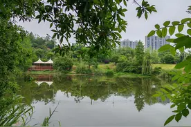 我45年前的高考 我是1979年参加高考的图片