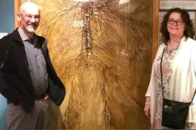 人类神经系统的奥秘，你知道多少？（一）图片