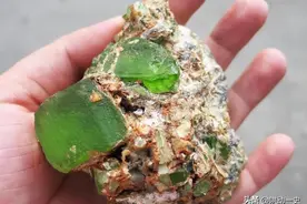 天津一男子移居河南，10年捡600多块蛟河橄榄石，专家：建议上交图片