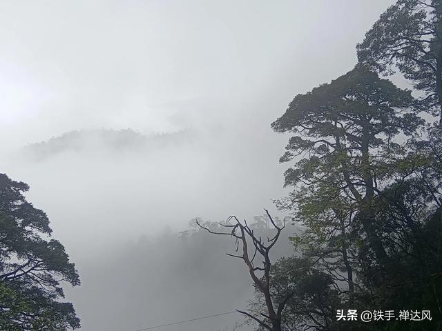 2025湖南行：仙气飘飘～莽山五指峰