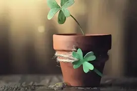 我发现真正减肥有效的方法 最近我终于发现了一个管用的...图片