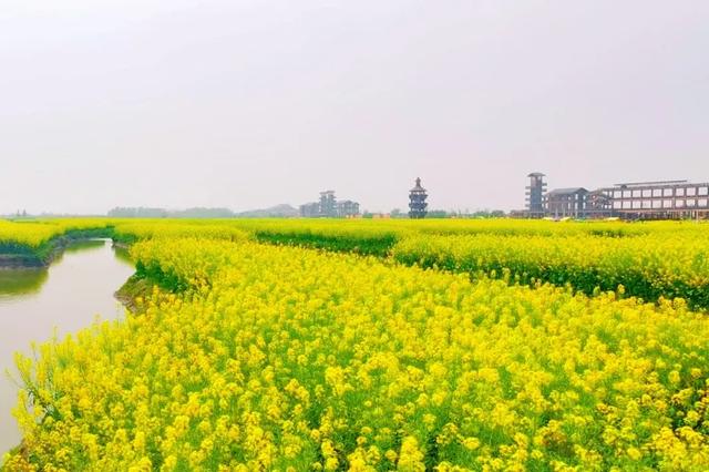 2026年泰州•兴化千垛菜花旅游推广活动走进西安