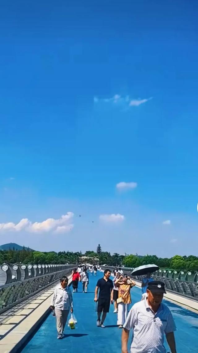 建议徐州云龙湖风景区水上世界景区开发“湖中步行藤蔓廊桥”设想