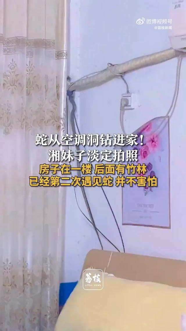 女子回应蛇钻洞进家淡定拍照