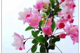 过度紧张的人，不适合帮别人打工图片