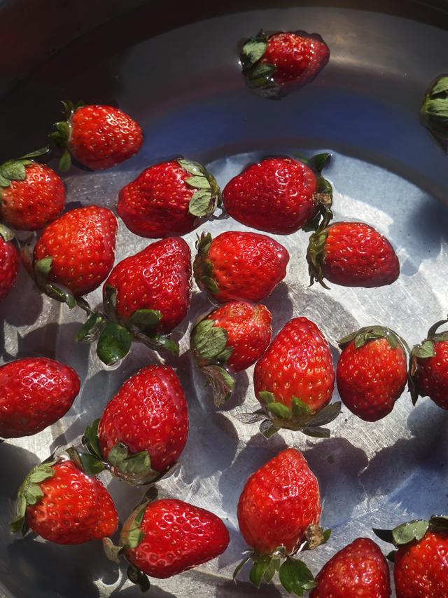 西丽湖绿道骑行随拍