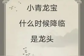 小青龙宝什么时候降临是龙头！！！图片