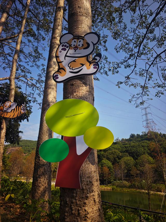 西丽湖绿道骑行随拍