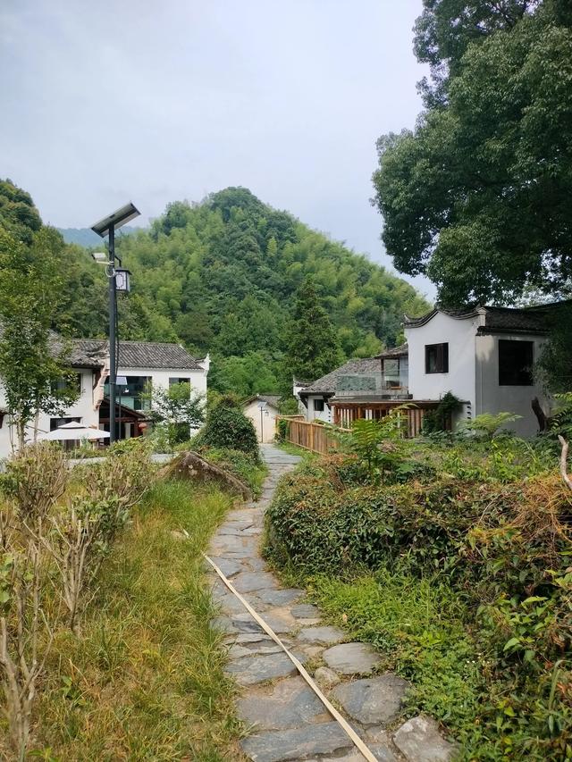 牯牛降半日禅（三）：白石岭篇