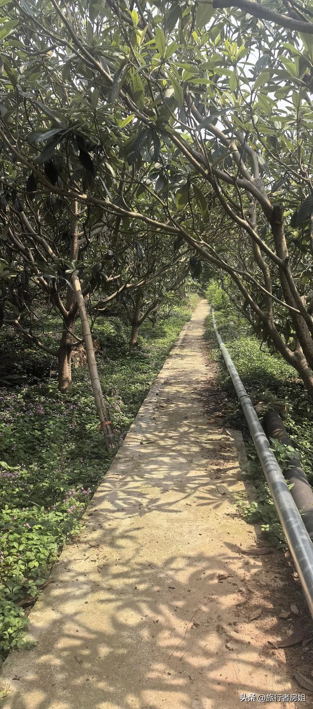 去了苏州那么多次，竟然没到过这里