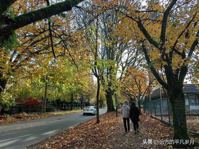 温哥华游记（四）