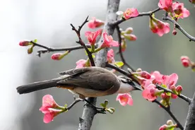 “一户开两门，人财都难存”，两门指的是啥？有无道理？图片