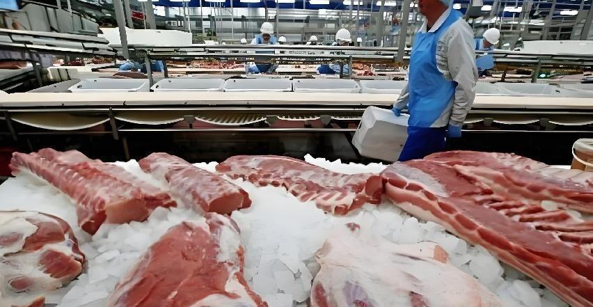 欧盟猪肉倾销中国市场影响_2025年猪头批发价格行情查询_中国对欧盟猪肉反倾销税