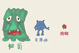 治疗支原体感染的9个口服抗生素，一文总结图片