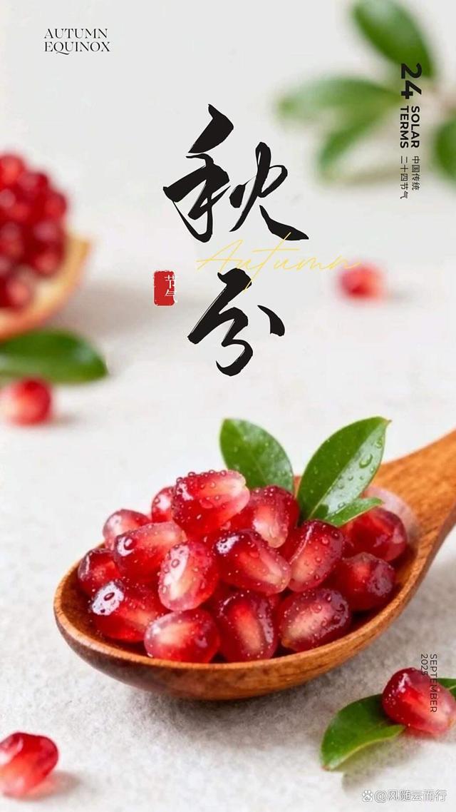 12条秋分·藏在时光里的秋日絮语