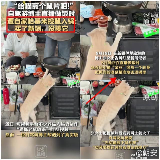 你有过被宠物投喂的经历吗