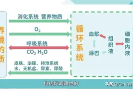 【微头条】人体八大循环之内外环境篇图片