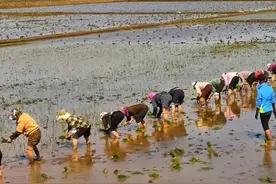 我是地主家的后代，这不影响我为国家工作几十年图片