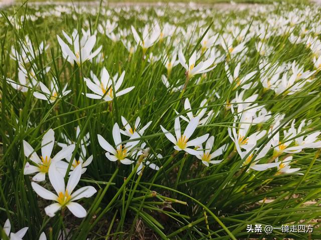 在“天仙配”传说的故事发生地孝感，建有一座“凤凰天仙城”