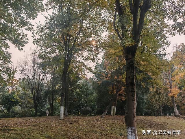 凤栖绿道，湖畔闲游——成都金牛区凤凰山公园游记