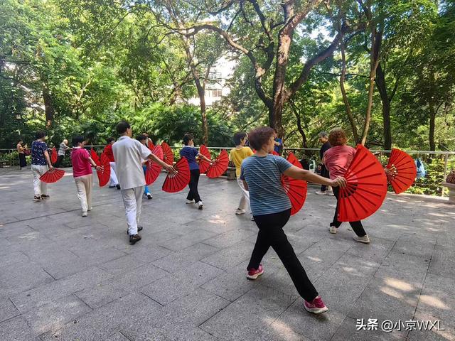 新羊城八景之三：越秀风华