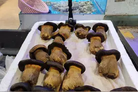 在西双版纳，租的两室一厅的房子，只租四个月图片