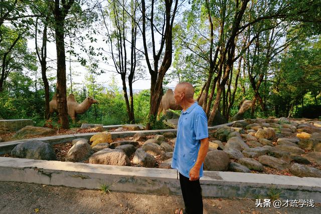 一座县城的时光褶皱—81岁父亲游隆回