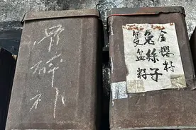 倪海厦：50岁以后，肾气开始衰竭，想治慢阻肺图片