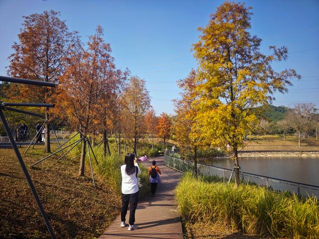 西丽湖绿道骑行随拍