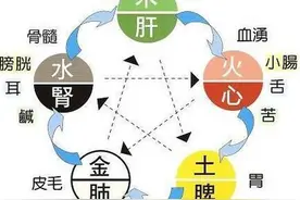 肝脾肾最喜欢的中成药，一文总结： 一、肝喜欢的中成...图片